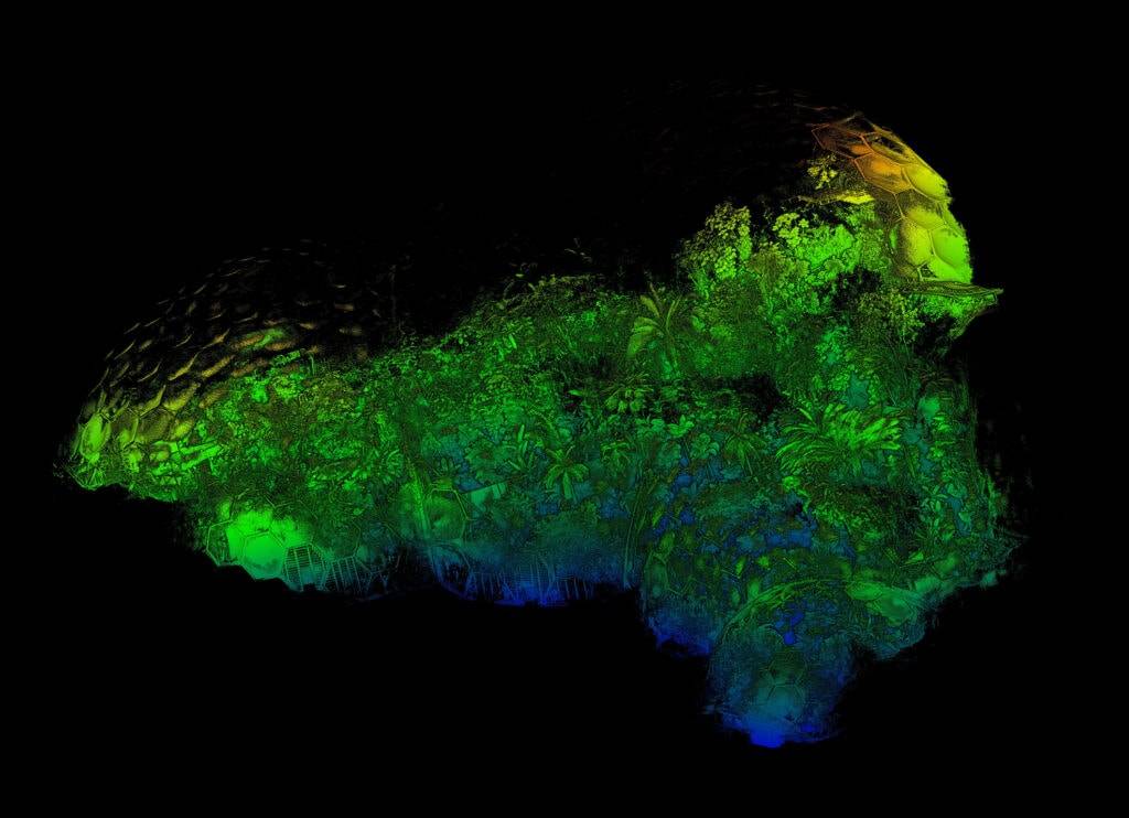 Point cloud data of a forest